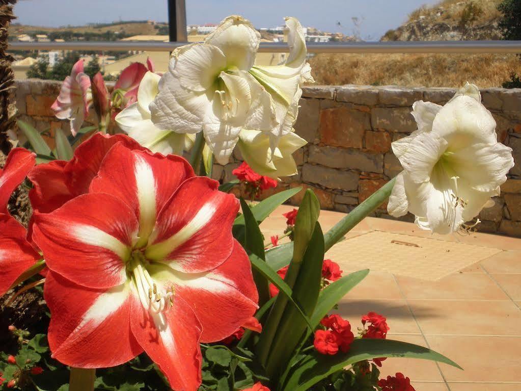 Scala Hotel-Apartments Agia Pelagia 외부 사진